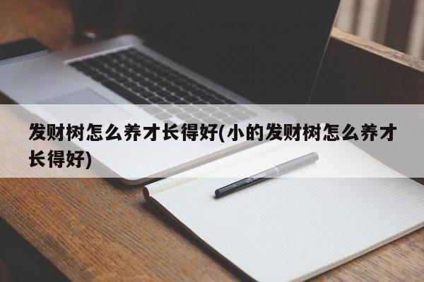 发财树怎么养才长得好(小的发财树怎么养才长得好)