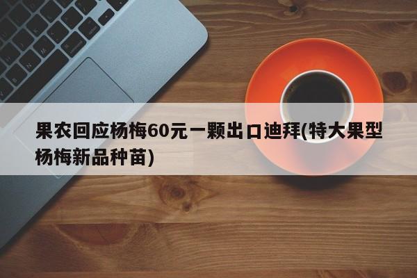 果农回应杨梅60元一颗出口迪拜(特大果型杨梅新品种苗)