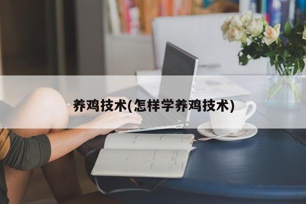 养鸡技术(怎样学养鸡技术)