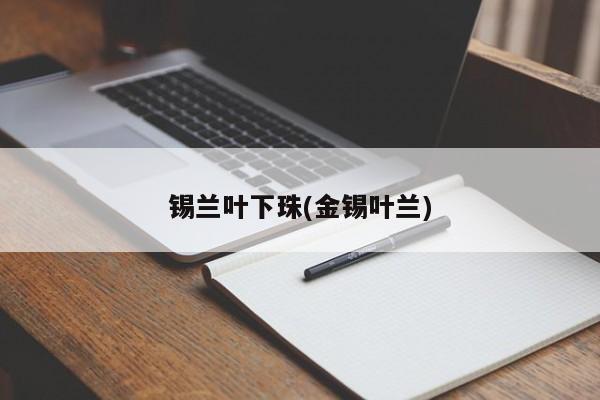 锡兰叶下珠(金锡叶兰)