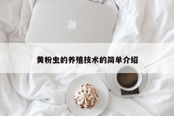 黄粉虫的养殖技术的简单介绍