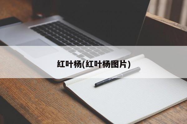 红叶杨(红叶杨图片)