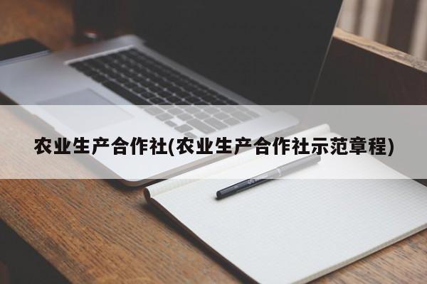 农业生产合作社(农业生产合作社示范章程)