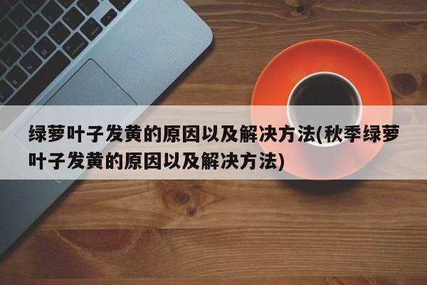 绿萝叶子发黄的原因以及解决方法(秋季绿萝叶子发黄的原因以及解决方法)