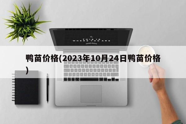 鸭苗价格(2023年10月24日鸭苗价格)