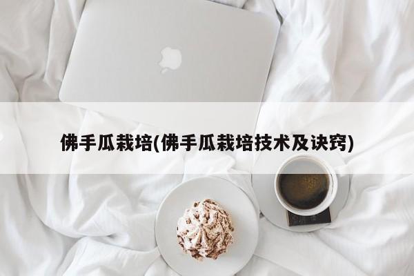 佛手瓜栽培(佛手瓜栽培技术及诀窍)