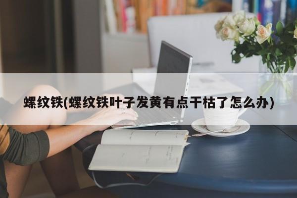 螺纹铁(螺纹铁叶子发黄有点干枯了怎么办)