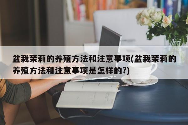 盆栽茉莉的养殖方法和注意事项(盆栽茉莉的养殖方法和注意事项是怎样的?)