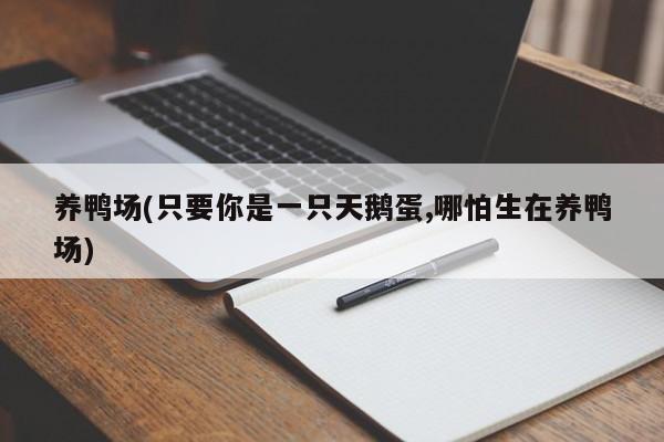 养鸭场(只要你是一只天鹅蛋,哪怕生在养鸭场)