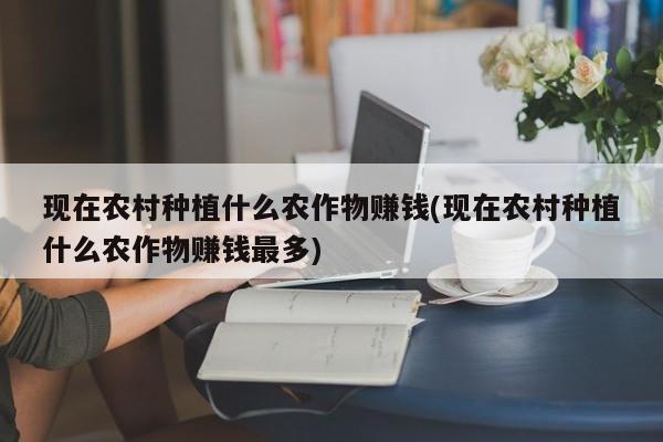 现在农村种植什么农作物赚钱(现在农村种植什么农作物赚钱最多)