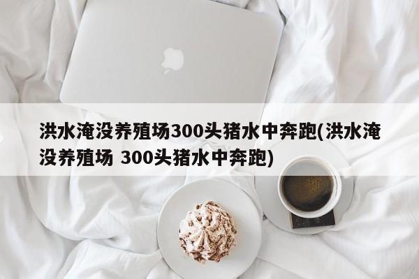 洪水淹没养殖场300头猪水中奔跑(洪水淹没养殖场 300头猪水中奔跑)