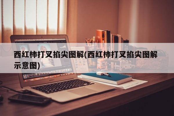 西红柿打叉掐尖图解(西红柿打叉掐尖图解 示意图)