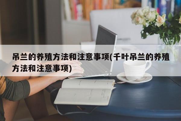 吊兰的养殖方法和注意事项(千叶吊兰的养殖方法和注意事项)