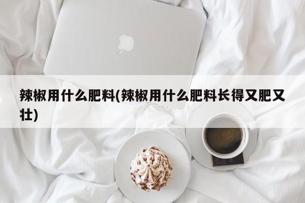 辣椒用什么肥料(辣椒用什么肥料长得又肥又壮)