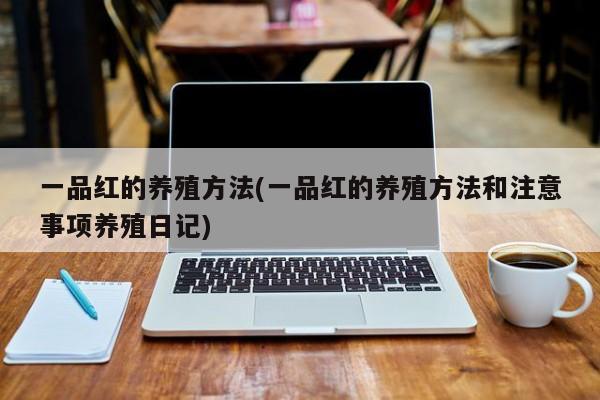 一品红的养殖方法(一品红的养殖方法和注意事项养殖日记)