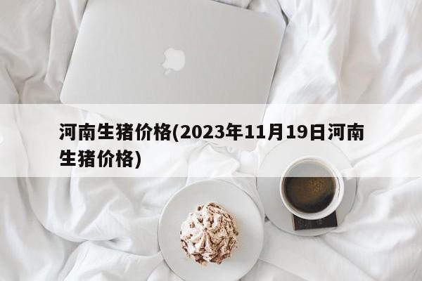 河南生猪价格(2023年11月19日河南生猪价格)