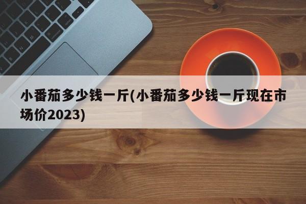 小番茄多少钱一斤(小番茄多少钱一斤现在市场价2023)