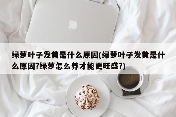 绿萝叶子发黄是什么原因(绿萝叶子发黄是什么原因?绿萝怎么养才能更旺盛?)