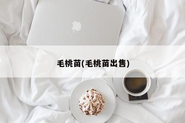 毛桃苗(毛桃苗出售)