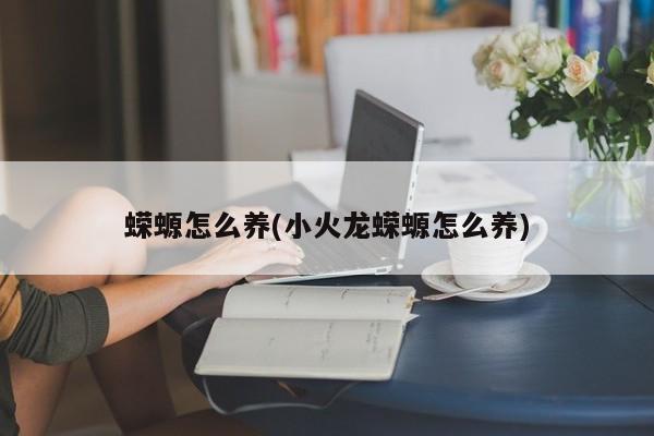 蝾螈怎么养(小火龙蝾螈怎么养)