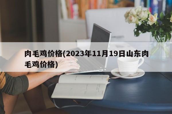 肉毛鸡价格(2023年11月19日山东肉毛鸡价格)