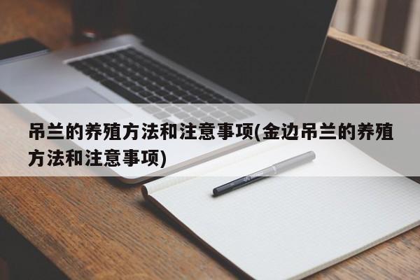 吊兰的养殖方法和注意事项(金边吊兰的养殖方法和注意事项)