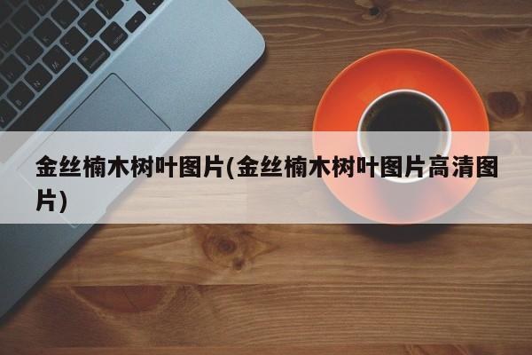 金丝楠木树叶图片(金丝楠木树叶图片高清图片)