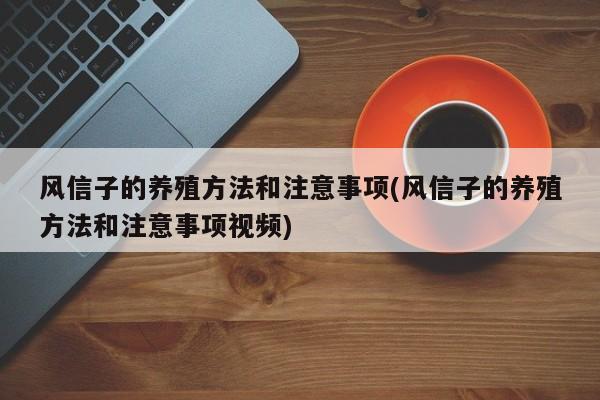 风信子的养殖方法和注意事项(风信子的养殖方法和注意事项视频)