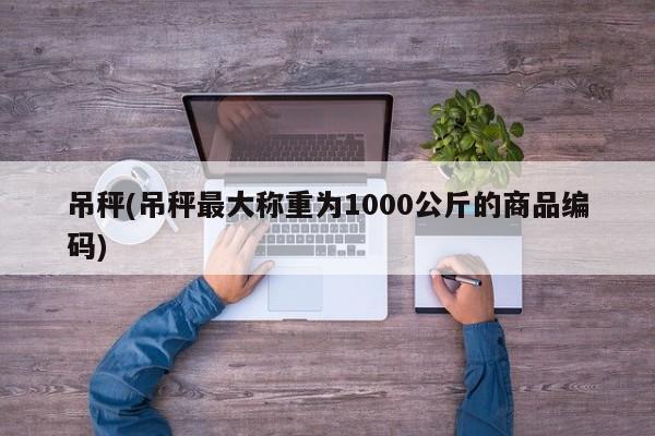 吊秤(吊秤最大称重为1000公斤的商品编码)