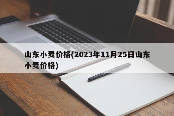 山东小麦价格(2023年11月25日山东小麦价格)