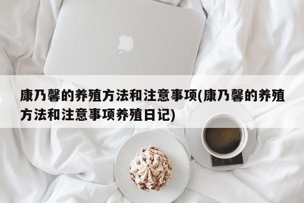 康乃馨的养殖方法和注意事项(康乃馨的养殖方法和注意事项养殖日记)