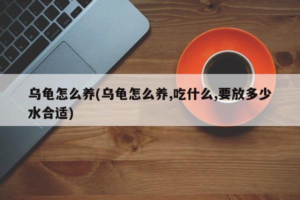 乌龟怎么养(乌龟怎么养,吃什么,要放多少水合适)