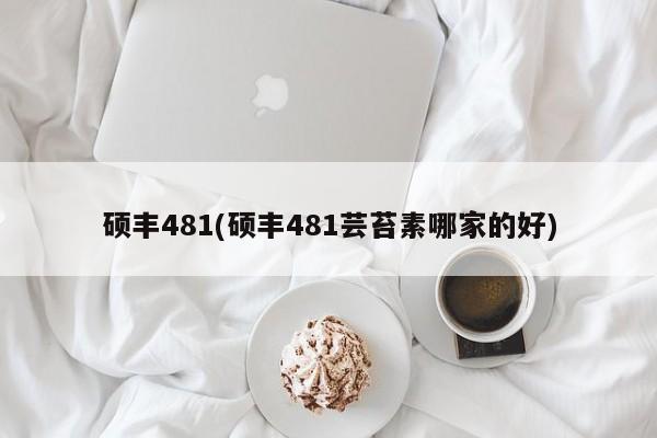 硕丰481(硕丰481芸苔素哪家的好)