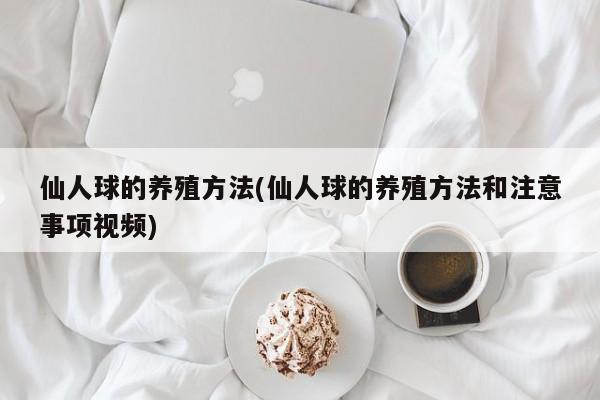 仙人球的养殖方法(仙人球的养殖方法和注意事项视频)