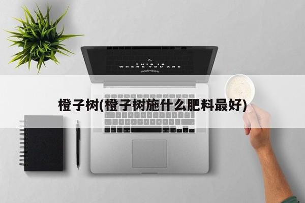 橙子树(橙子树施什么肥料最好)