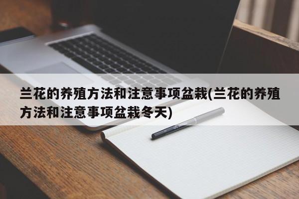 兰花的养殖方法和注意事项盆栽(兰花的养殖方法和注意事项盆栽冬天)