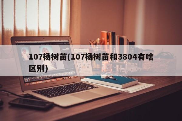 107杨树苗(107杨树苗和3804有啥区别)