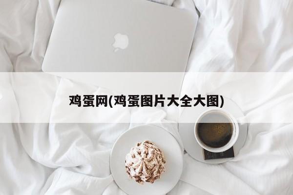 鸡蛋网(鸡蛋图片大全大图)