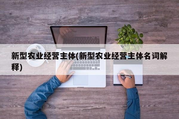 新型农业经营主体(新型农业经营主体名词解释)