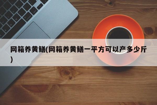 网箱养黄鳝(网箱养黄鳝一平方可以产多少斤)