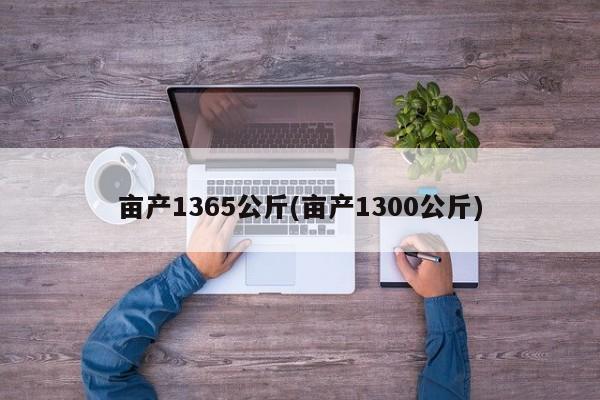 亩产1365公斤(亩产1300公斤)