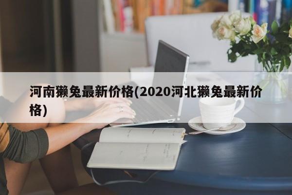 河南獭兔最新价格(2020河北獭兔最新价格)