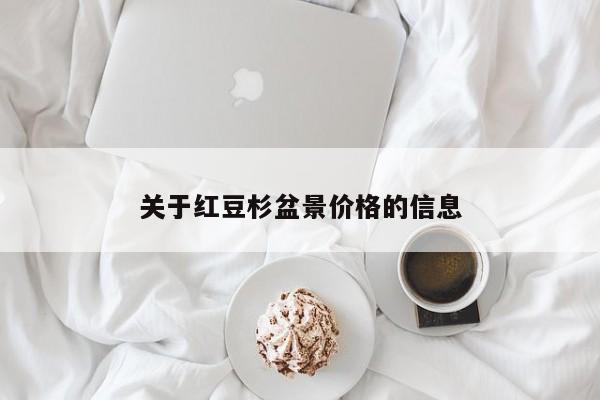 关于红豆杉盆景价格的信息