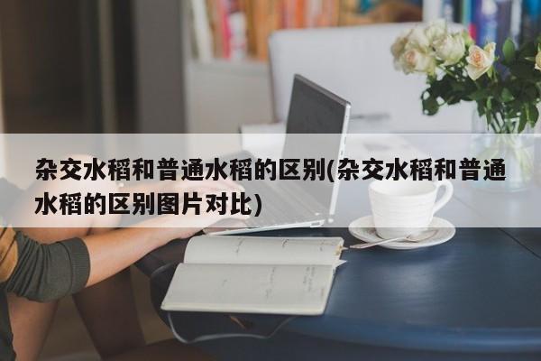 杂交水稻和普通水稻的区别(杂交水稻和普通水稻的区别图片对比)