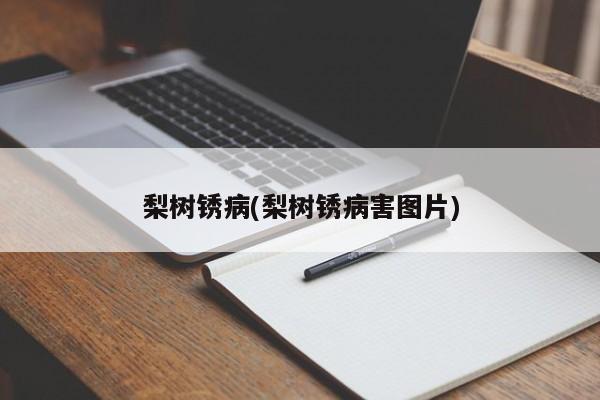 梨树锈病(梨树锈病害图片)