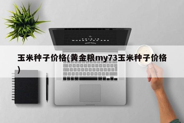 玉米种子价格(黄金粮my73玉米种子价格)