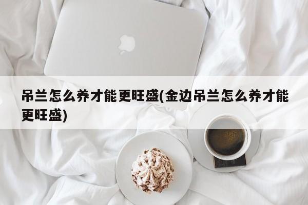 吊兰怎么养才能更旺盛(金边吊兰怎么养才能更旺盛)