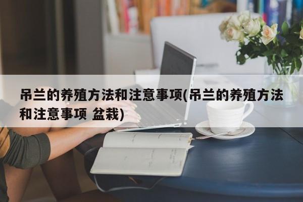 吊兰的养殖方法和注意事项(吊兰的养殖方法和注意事项 盆栽)