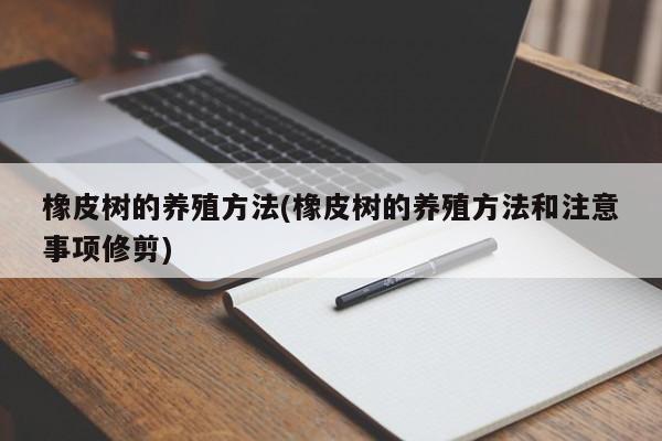 橡皮树的养殖方法(橡皮树的养殖方法和注意事项修剪)