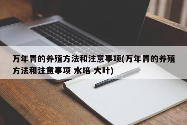 万年青的养殖方法和注意事项(万年青的养殖方法和注意事项 水培 大叶)